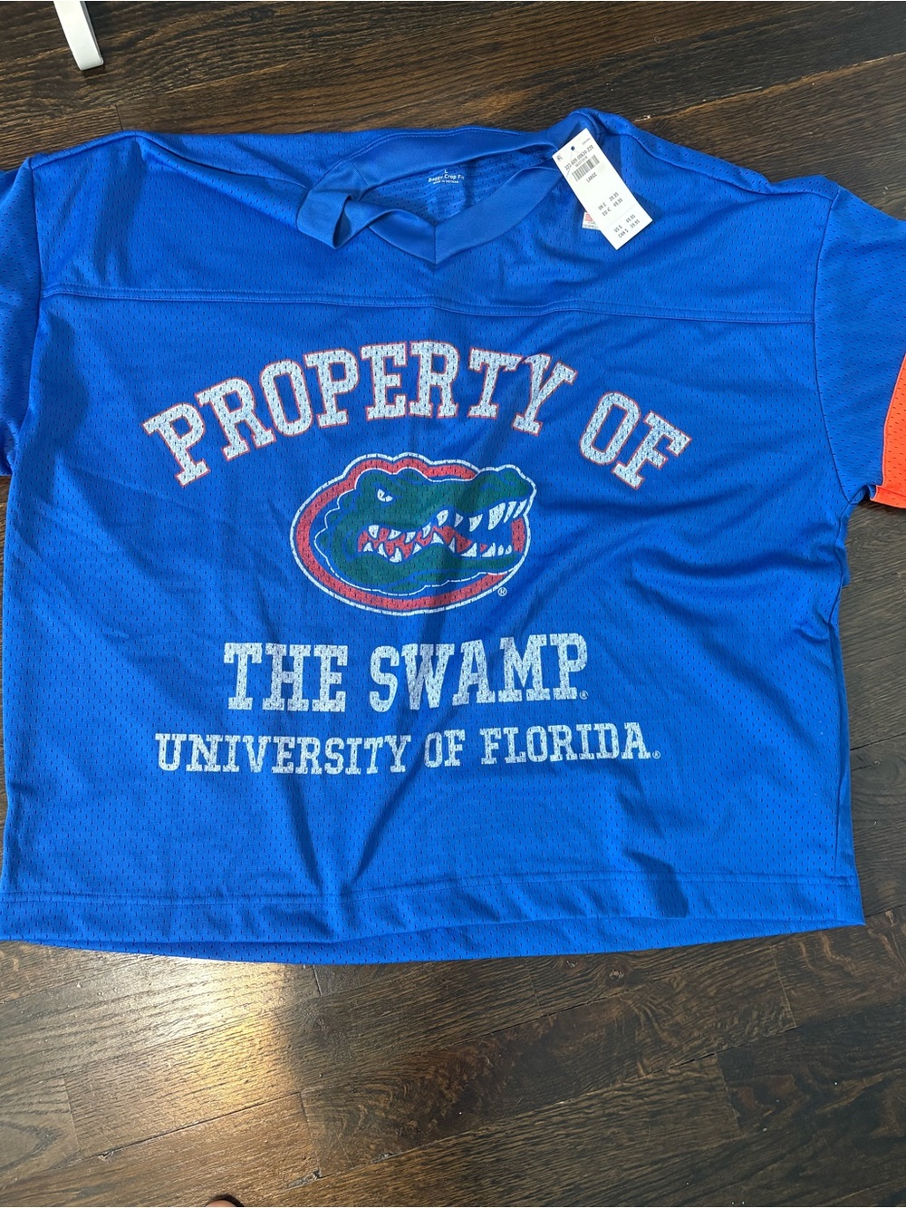 Hollister Blue & Orange University of Florida Gators Tee